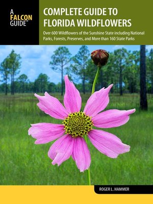 cover image of Complete Guide to Florida Wildflowers